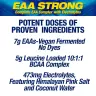 MHP EAA Strong (304 g, Citron Vert)