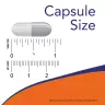 Now Foods Acetyl-L-Carnitine 500 mg (50 Capsule végétale)