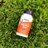 Now Foods Hyaluronic Acid 100 mg (120 Capsule végétale)