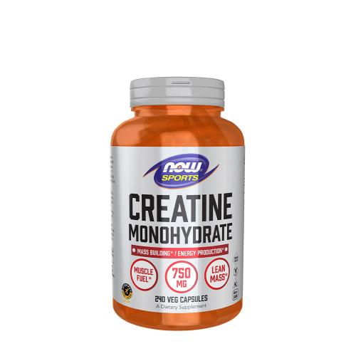 Now Foods Creatine Monohydrate 750 mg (240 Capsule végétale)