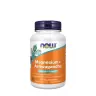 Now Foods Magnesium + Ashwagandha (120 Capsule végétale)