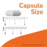 Now Foods Magtein® Calm (60 Capsule végétale)