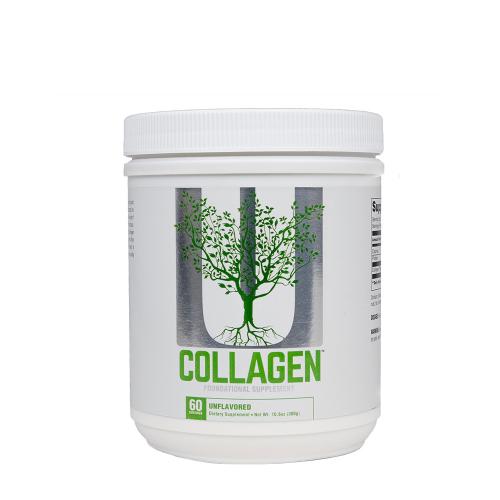 Universal Nutrition Collagen (300 g, Sans Arôme)