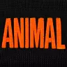 Universal Nutrition Animal Beanie (1 db, Noir/Orange)