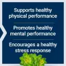 Life Extension Rhodiola Extract 250 mg (60 Capsule végétale)