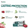 Himalaya Dental Cream Toothpaste (100 g, Grenade)