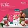 Himalaya Lip Balm (4,5 g, Lychee)