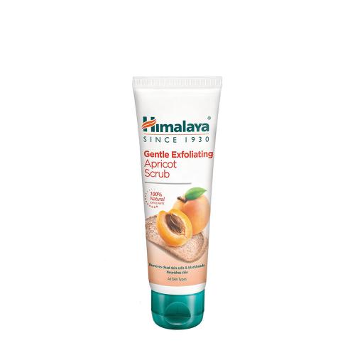 Himalaya Gentle Exfoliating Apricot Scrub  (75 ml, Abricot)