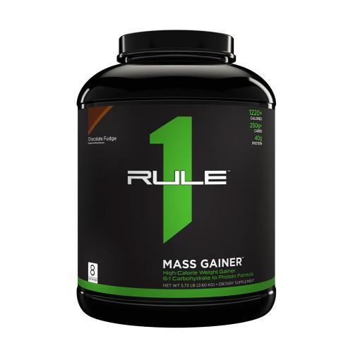 Rule1 R1 Mass Gainer (2600 g, Fudge Chocolat)