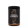Rule1 Essential Amino 9  (345 g, Raisin)