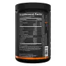 Rule1 Essential Amino 9  (345 g, Raisin)