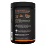 Rule1 Essential Amino 9  (345 g, Raisin)