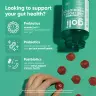 Goli Pre + Post + Probiotics Gummies (60 Gélatine en bonbon)
