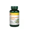 Vitaking Ashwagandha Extract 240 mg (60 Capsule)