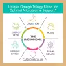 Enzymedica Aqua Biome Maximum Strength Omega 3 (60 Capsule molle)
