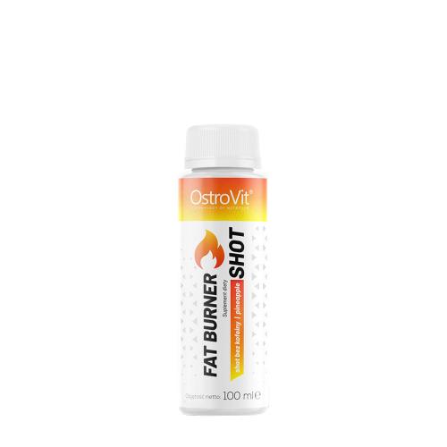 OstroVit Fat Burner Shot without Caffeine (100 ml, Ananas)