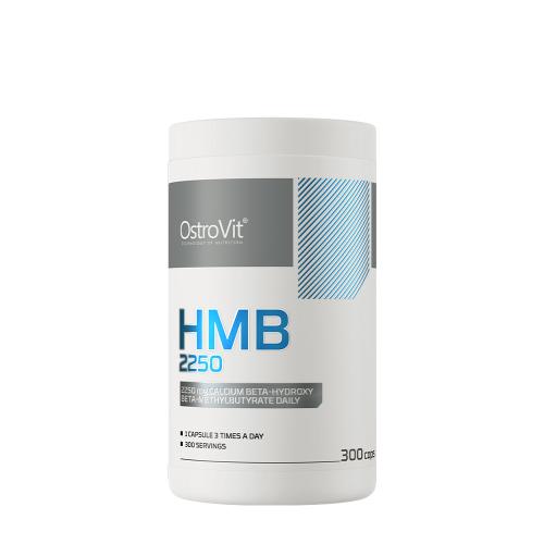 OstroVit HMB 2250 mg (300 Capsule)