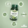 Natures Aid Green Tea 10,000mg (60 Comprimé)