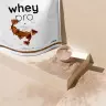 Nutriversum Whey PRO - PURE (1000 g, Chocolat & Noisette)