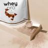 Nutriversum Whey PRO - PURE (1000 g, Yaourt à la Framboise)