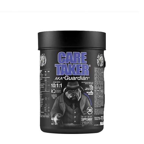 Zoomad Labs Caretaker® BCAAs 10:1:1 (480 g, Fruits Tordus)