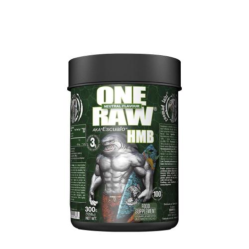 Zoomad Labs Raw One HMB (300 g, Sans Arôme)