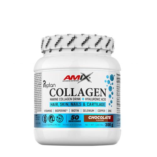 Amix Collagen Marine Peptan Drink (300 g, Chocolat)