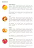 Extrifit Aminofree Peptides (400 g, Orange)