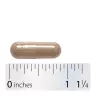 Nature's Way Black Cohosh Root (100 Capsule)
