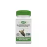 Nature's Way Bladderwrack  (100 Capsule)