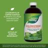 Nature's Way Chlorofresh® Liquid Chlorophyll (480 ml, Menthe)