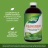 Nature's Way Chlorofresh® Liquid Chlorophyll (480 ml, Sans Arôme)