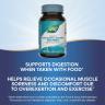 Nature's Way Mega-Zyme® (100 Comprimé)