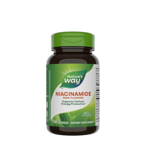 Nature's Way Niacinamide (100 Capsule)