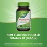 Nature's Way Niacinamide (100 Capsule)