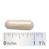 Nature's Way Vitamin C with Bioflavonoids (100 Capsule)