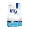 ALLNUTRITION Whey Delicious  (700 g, Café Caramel)