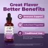 MaryRuth's Organic Elderberry Liquid Drops (1 fl. oz., Myrtille Framboise)
