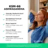 Vitamin360 KSM-66 Ashwagandha® 200 mg – Complément alimentaire premium à base d’ashwagandha (120 Capsule végétale)
